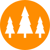 TREE REMOVAL (Icon)